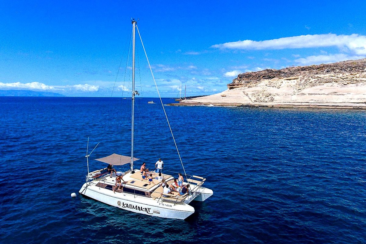 Catamarán navegando